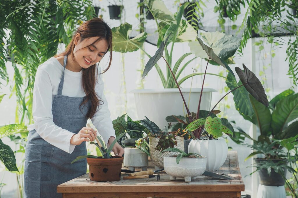 Seorang wanita merawat tanaman hias di rumah untuk dijual, salah satu ide bisnis sampingan